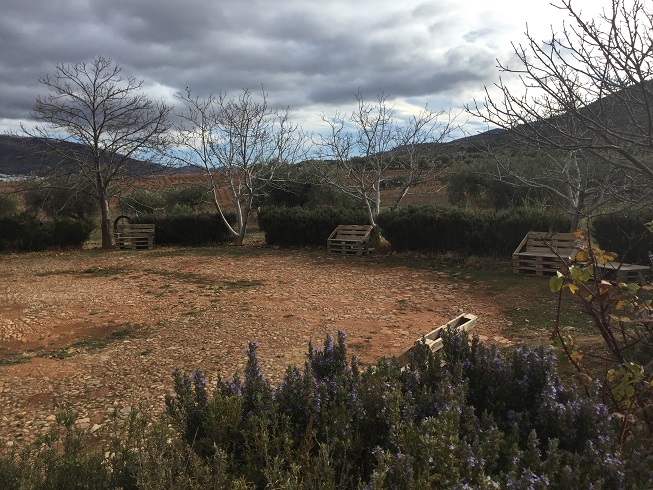 Picnicking in the countryside, in the organic property  Cortijo El Cura