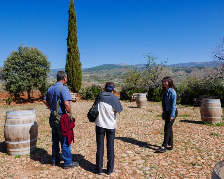 Wine tour and vineyards in English in Almería Spain