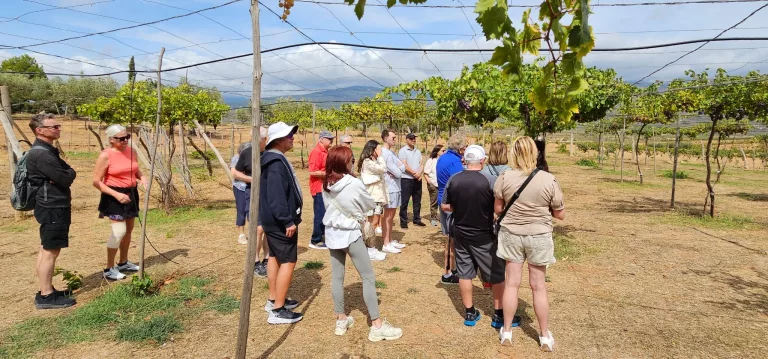 Grupo de turistas disfrutando de la visita guiada en la bodega